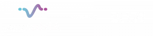 vox by 2021 bl